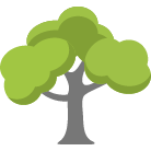 Tomball Tree Removal