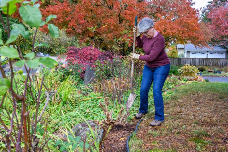 Landscape Preservation
