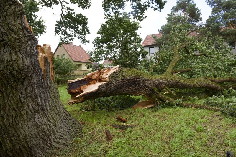 Cleared Property