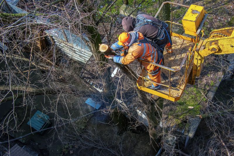 Tree Removal Equipment