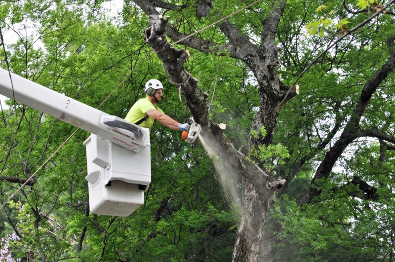 Weather Conditions for Removal