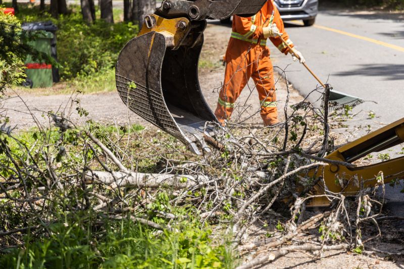 Equipment Used for Tree Removal