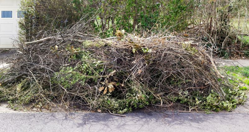 Site Cleanup After Removal